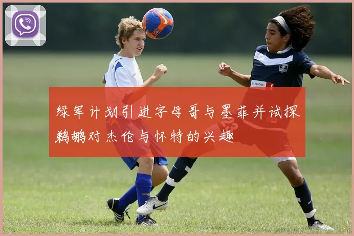 绿军计划引进字母哥与墨菲并试探鹈鹕对杰伦与怀特的兴趣