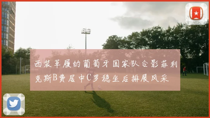 西装革履的葡萄牙国家队合影菲利克斯B费居中C罗稳坐后排展风采